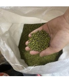 Đậu xanh có vỏ